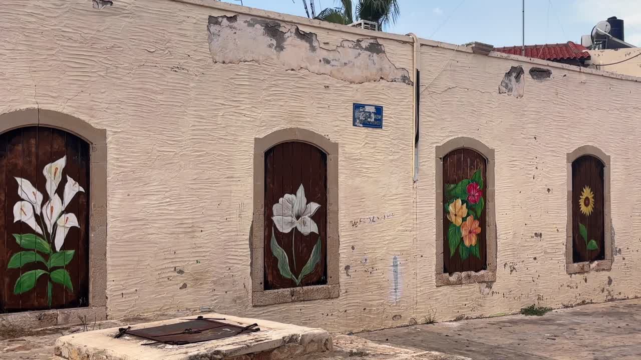 Colorful Street Art: Flowers Painted on Old Building Doors