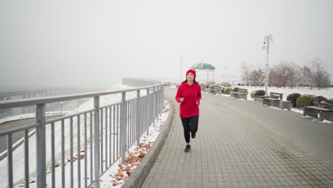 atleta en traje deportivo corriendo en un camino entrelazado cerca de una barandilla de hierro en un parque nevado sereno, rodeado de bancos, atmósfera brumosa, puente lejano y arbustos vibrantes en un paisaje invernal