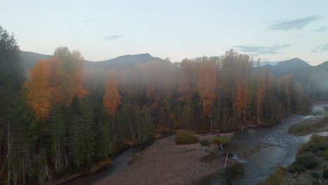 Intensiver-Flussflug-Durch-Nebel-Und-Kiefernwald-Entlang-Des-Flussufers-Des-Mount-St.