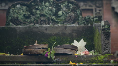 two doves looking for food among offerings left on alter, ubud palace, bali