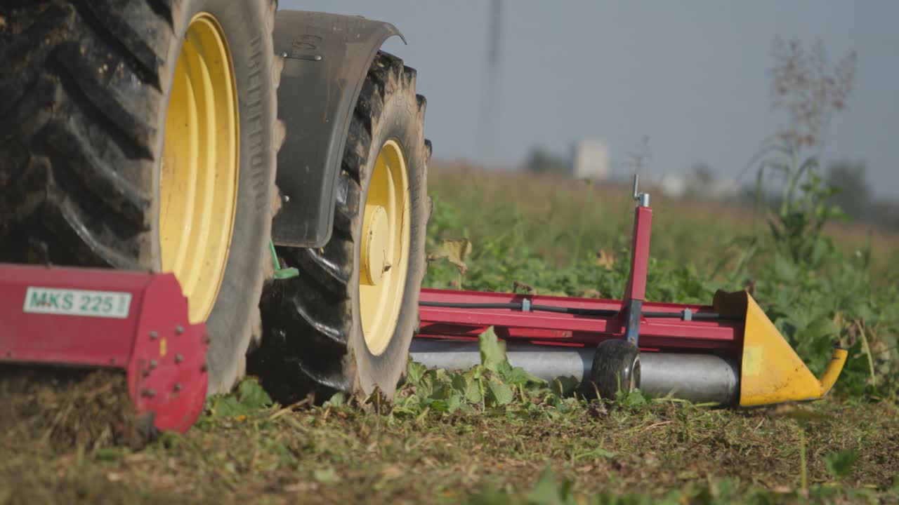 할로윈을 위해 수확 중인 호박 에서 트랙터가 호박을 으로 밀어 모으기 위해 준비하고 있습니다.