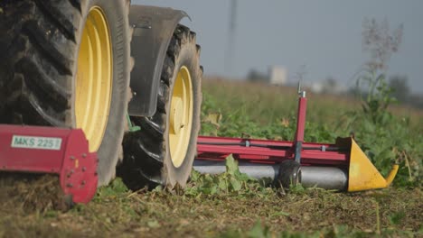 pumpkin field being harvested for halloween with a low angle view of a tractor pushing pumpkins to the side ready for collecting