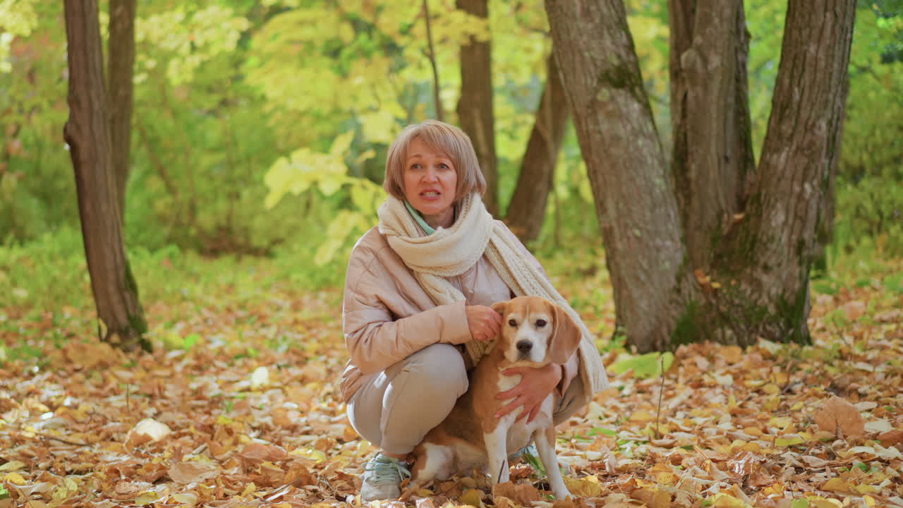 Smiling woman kneeling in autumn forest holding floppy dog ear while beagle puppy sits among golden leaves, enjoying playful interaction amid tranquil woodland setting with sunlight