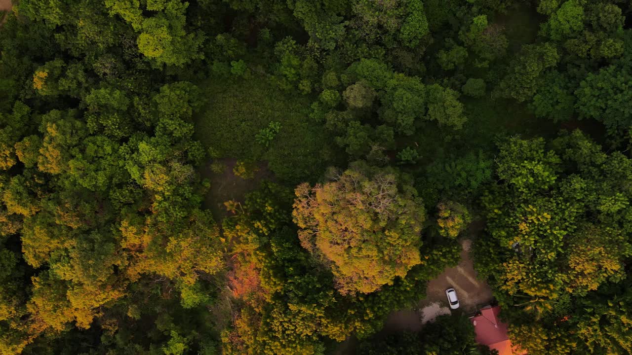 일몰 동안 열대 뒷마당의 하향식 전망