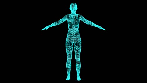 woman body, hologram effect, loop animation