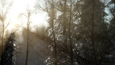 Herrliche-Weihnachtsszene-Im-Bergwald.-Bunter-Wintersonnenaufgang