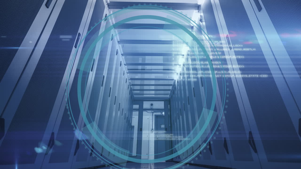 Animation of data processing over computer servers