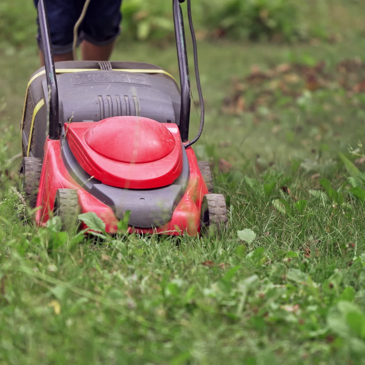 Homeowner working in garden uses lawn mower to mow green grass. Gardener is cutting grass by red electrical mower machine outdoors.