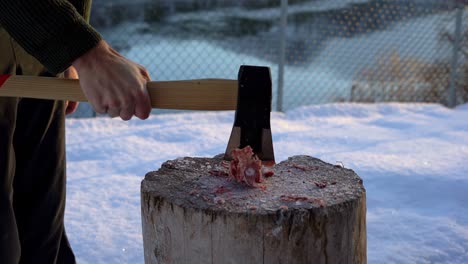 Slow-motion-split-of-Deer-Carcass-Bones-in-Soft-winter-Light-Slow-Motion