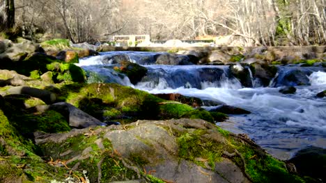 mountain river flowing in rainforest around the villages of la vera in extremadura