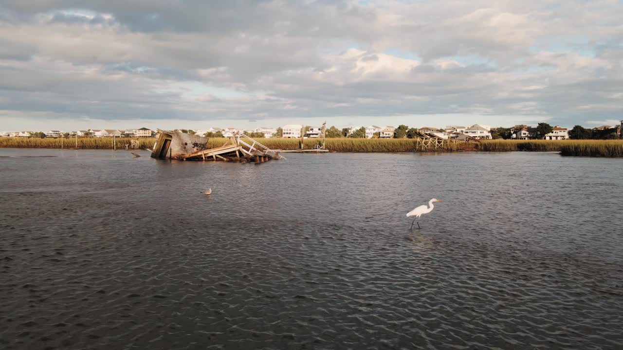 heron camina en primer plano al atardecer con un empujón que revela un muelle roto después del huracán