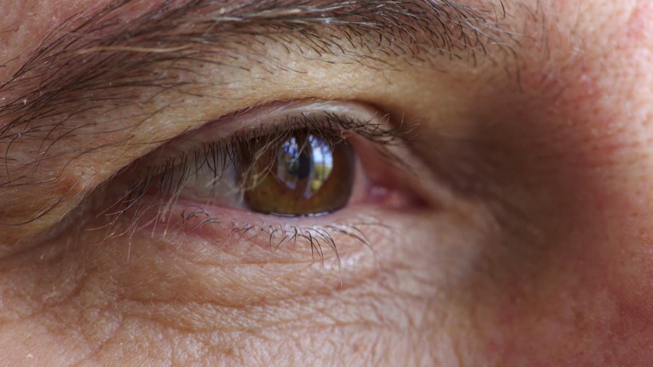 움직이는 수 ⁇  갈색 눈의 클로즈업