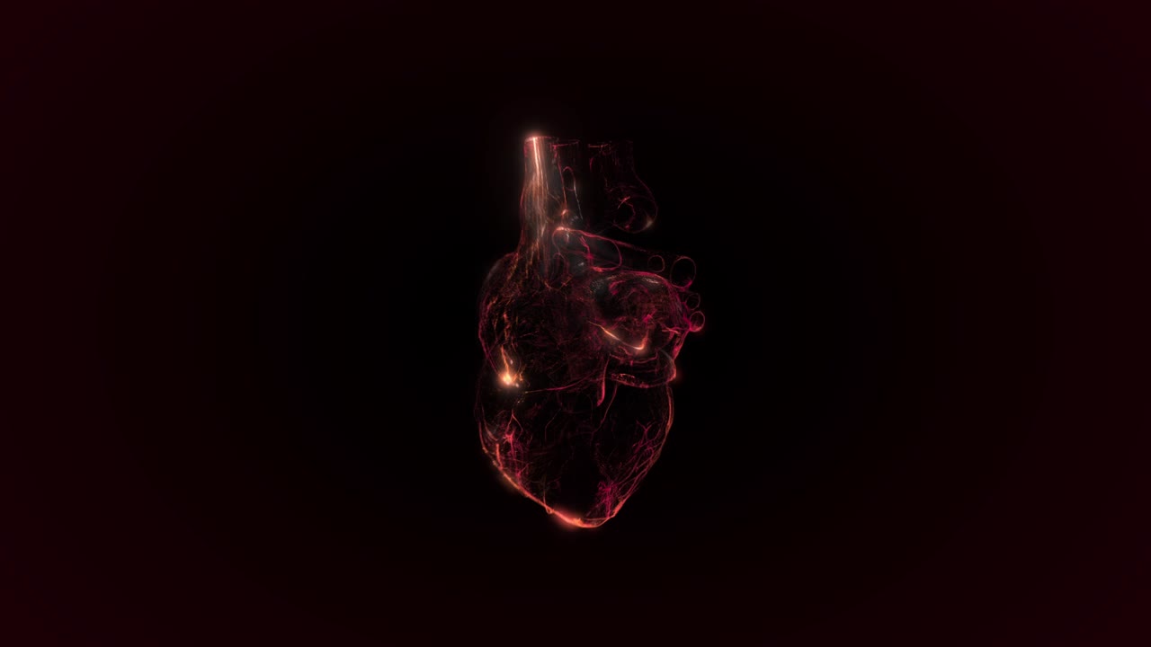 animación de corazón rojo. bucle sin costuras con alfa.