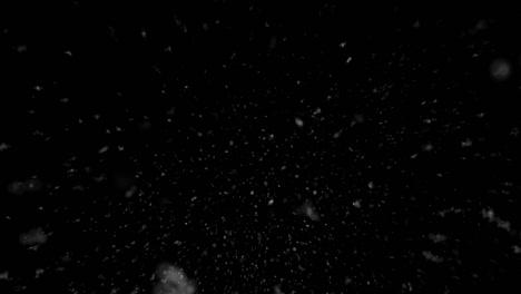 winter snow, falling snow isolated on black background