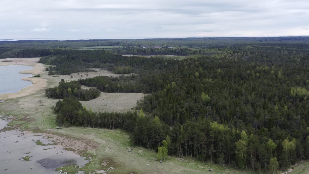 Flygning över skog och kustlinje en mulen dag.