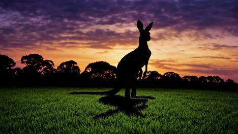 kangaroo silhouette at sunset
