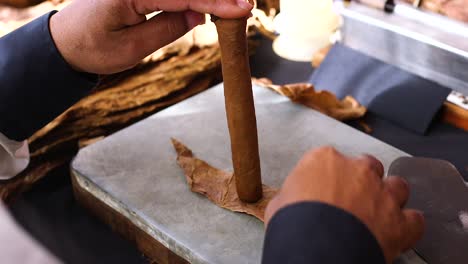 close up shot of a person carefully hand making a cigar in a factory in the caribbean