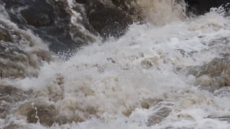 peces que intentan saltar una cascada en el gran río sioux - sioux fall sd