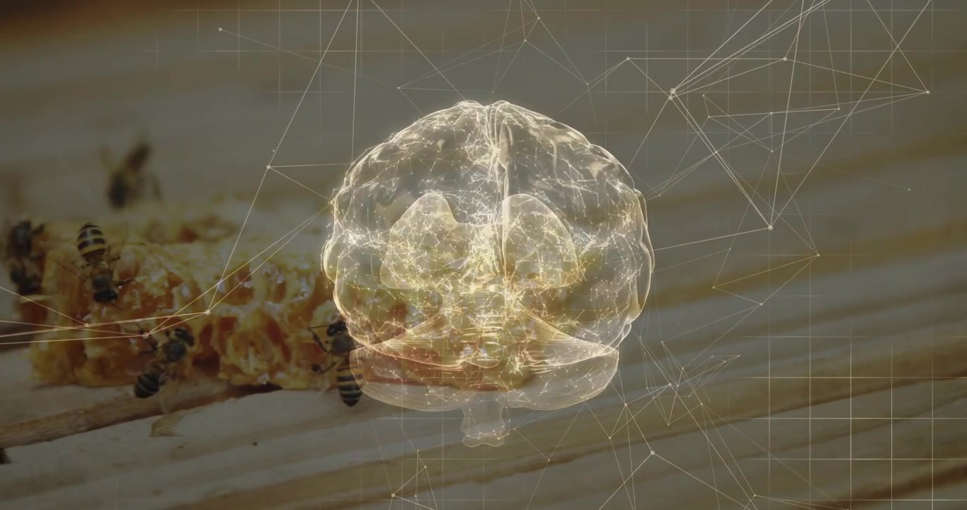Play starting brain holo glowing rotating over comb net linking nodes and bees showing neural map