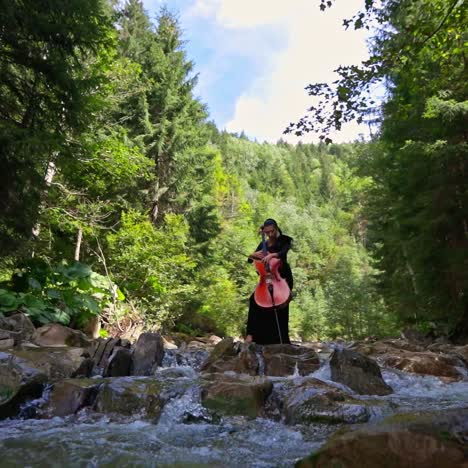 woman plays the cello in nature. female musician in black dress performing music in the forest among water. violinist stands on stones of a shallow river.