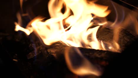 burning firewood in a bonfire close-up.