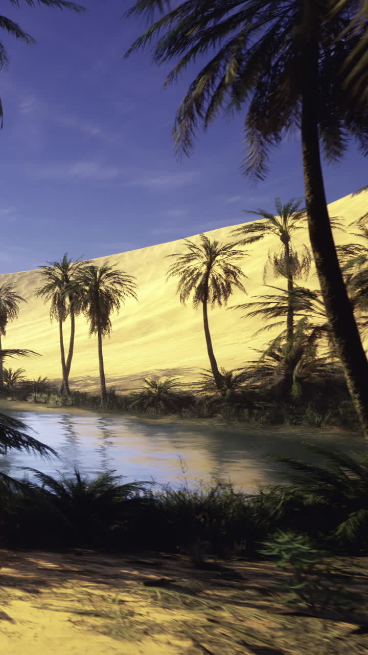 Paesaggio desertico sabbioso con palme vicino a un fiume sotto un cielo blu.