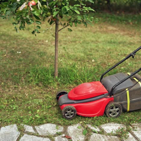 garden meadow lawn cutting