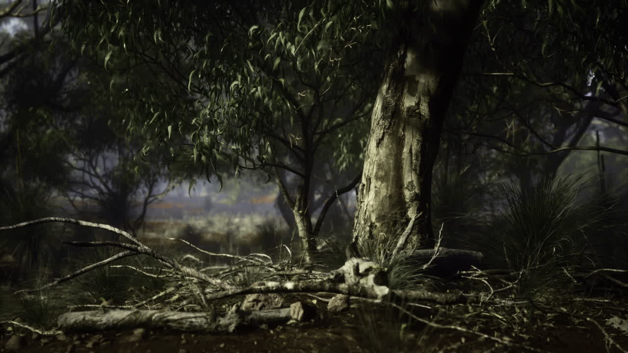 Roots intertwine in a tranquil forest revealing natures hidden beauty