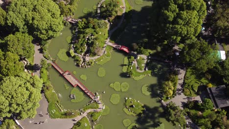 Luftaufnahme-Direkt-Nach-Unten,-Die-Den-Idyllischen-Japanischen-Gartenpark-In-Buenos-Aires-Bei-Sonnenlicht-Zeigt