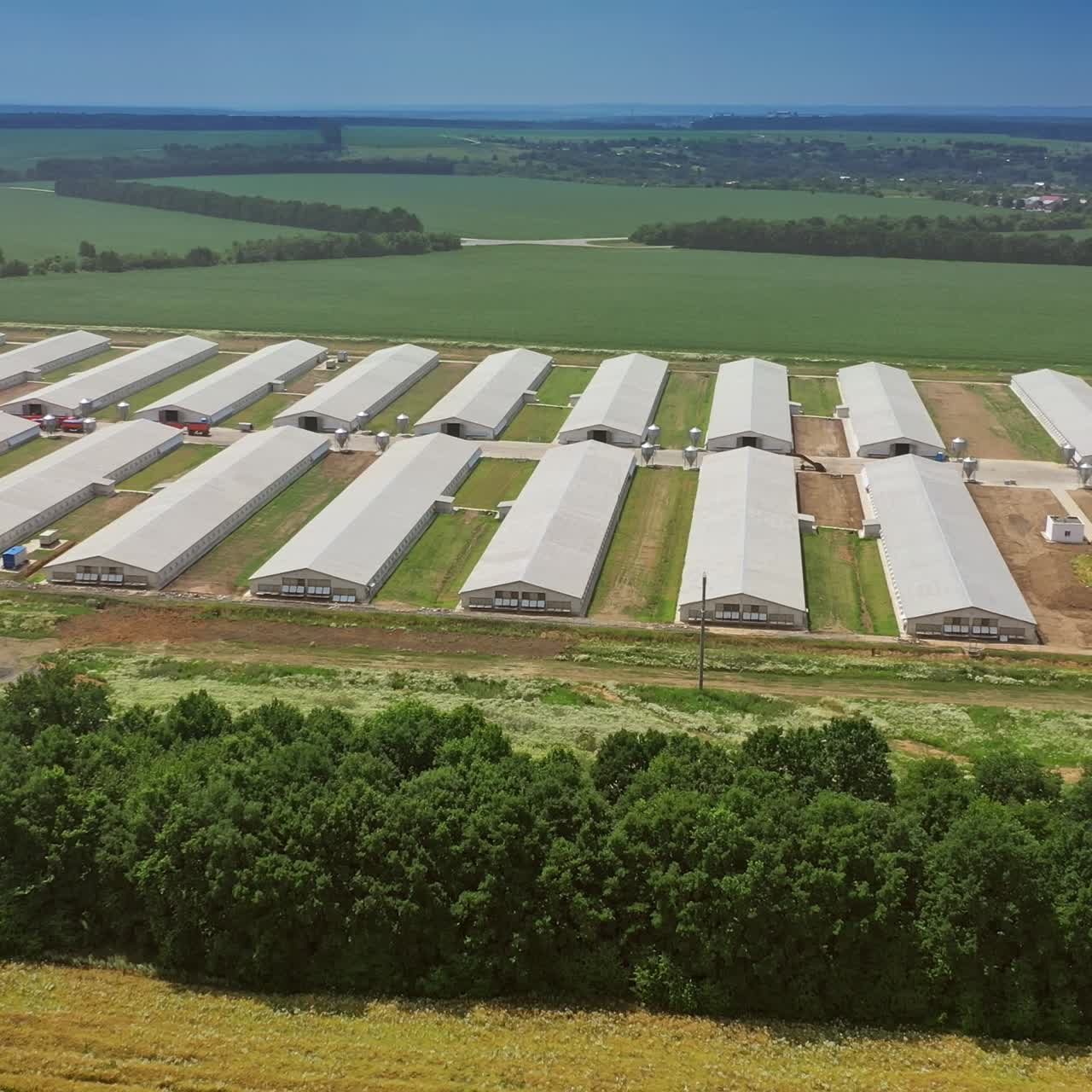 Premises of the poultry farm