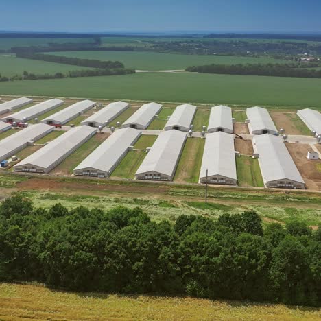 premises of the poultry farm