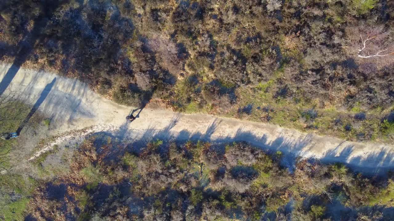 자연 국립 공원에서 길을 걷는 사람의 공중 드론 샷