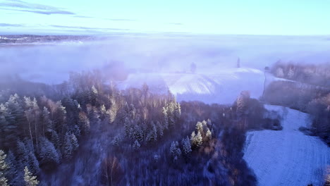 aerial shot over snow covered pine forests on mountain slopes, towards a winter valley