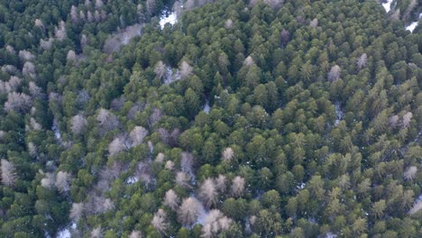 Drohne-Fliegt-Im-Winter-über-Die-Berge,-Seitliche-Bewegung-Zeigt-Nach-Unten-Und-Zeigt-Einen-Wald