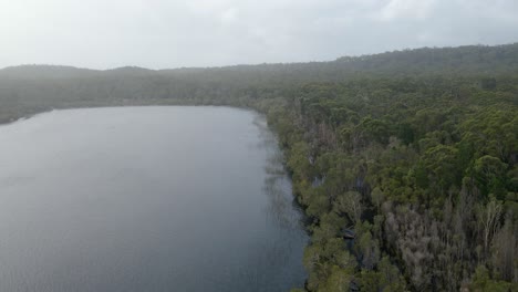 Shrub-like-Vegetation-And-Wet-Heathland-Around-The-Brown-Lake-In-QLD,-Australia