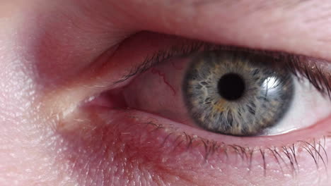 iris de un ojo humano contrayéndose. macro