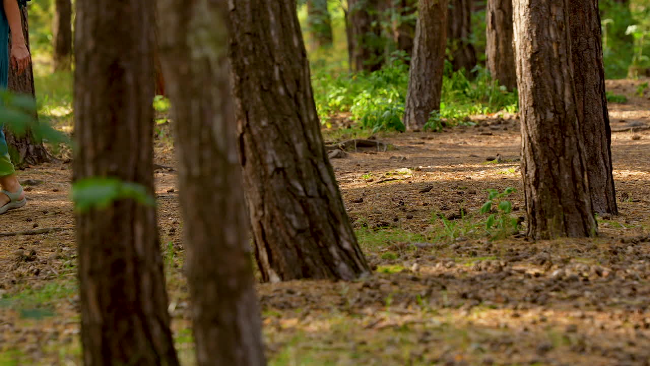 persona caminando cerca de un árbol alto en un entorno de bosque exuberante