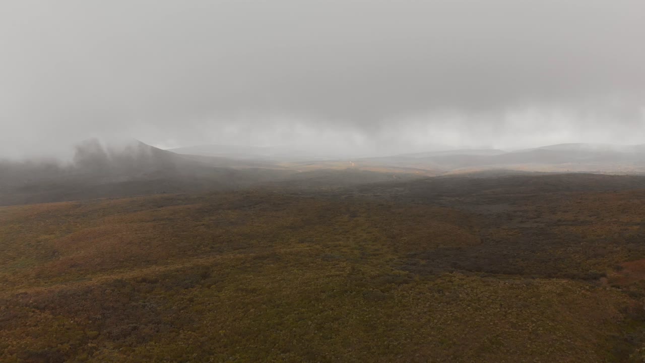 흐린 날 해발 2800m에 있는 케냐 산의 경사면