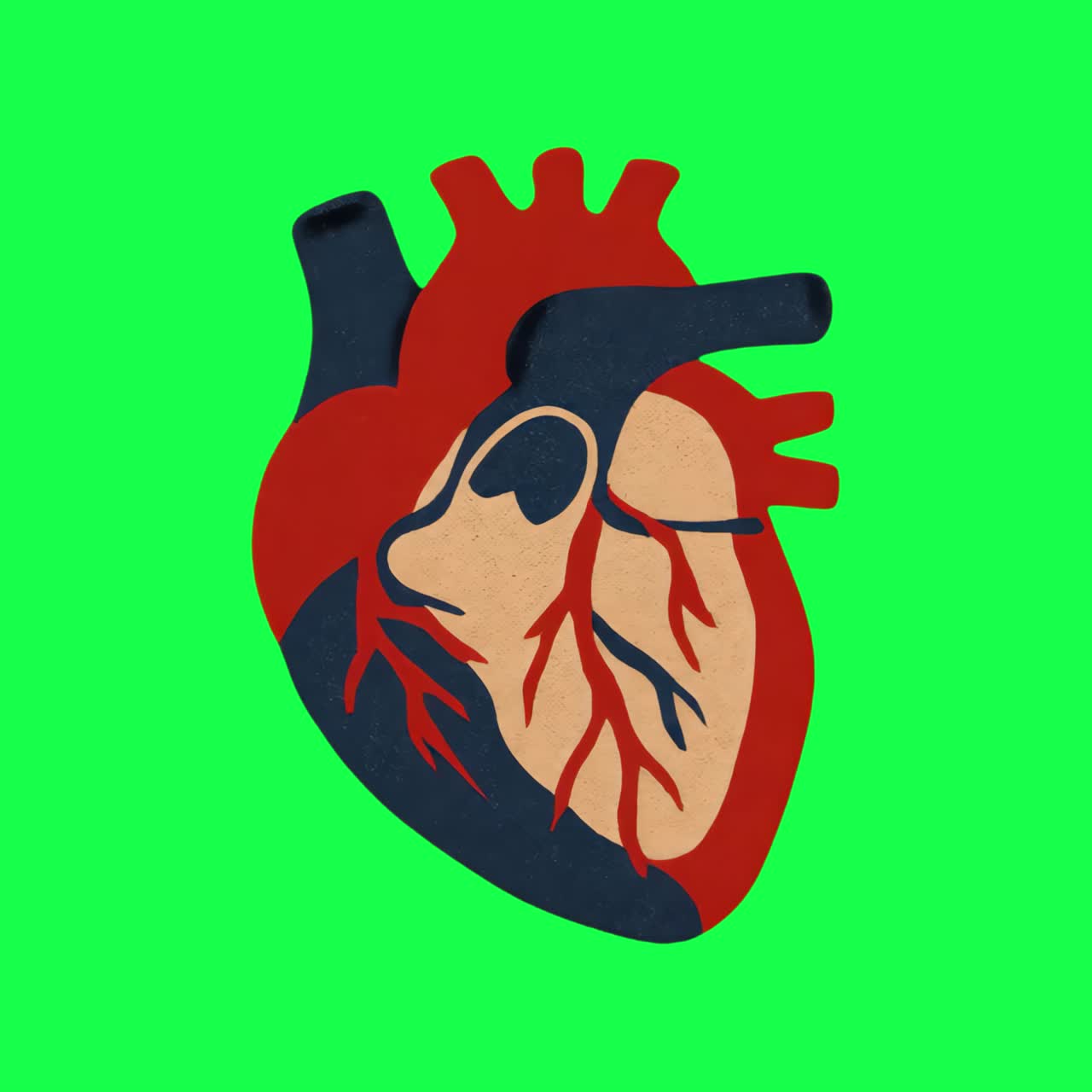 Anatomical heart illustration animation, transparent 4K video, green screen