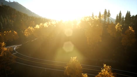 aerial drone view flight over pine tree forest in mountain at sunset