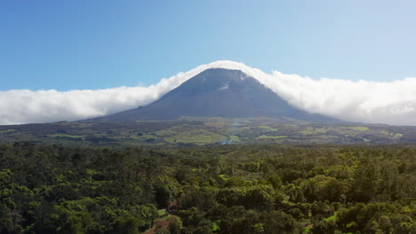 Vista-Aérea-Por-Drones-De-La-Exuberante-Vegetación-En-La-Isla-Pico