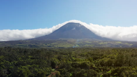 vista aérea de la exuberante vegetación en la isla de pico