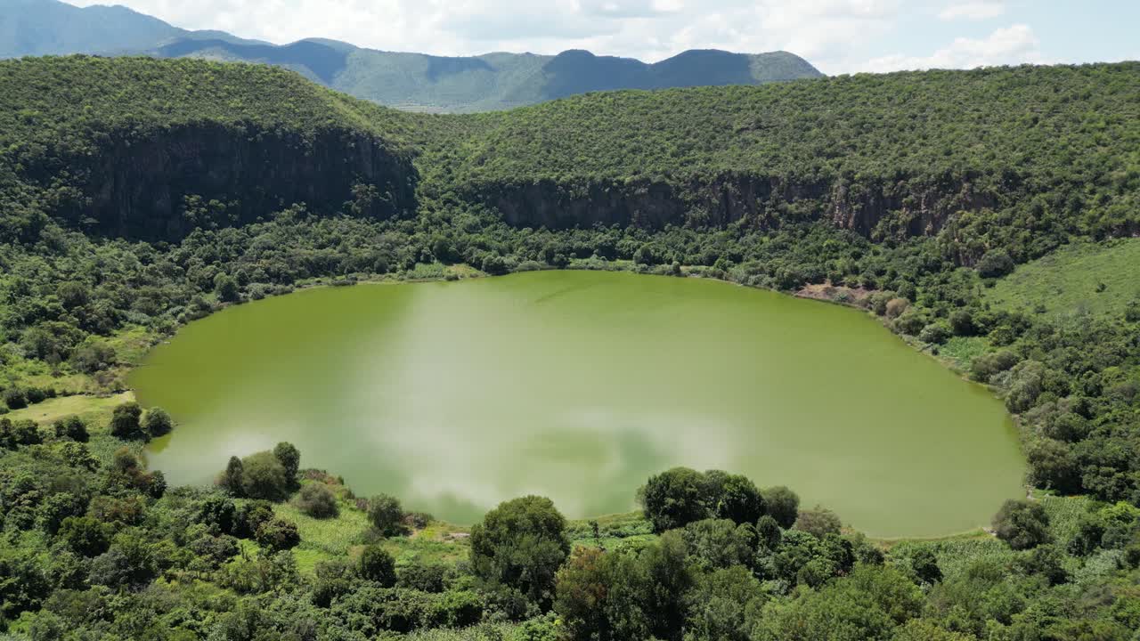 лагуна посреди леса с помощью дрона