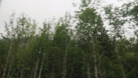 Im-Nebel-Den-Wald-Entlang-Fahren-Blick-Aus-Dem-Autofenster-Bei-Schlechter-Sicht-Hoch-In-Den-Berg-Fahren