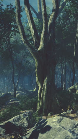 un bosque profundo y misterioso
