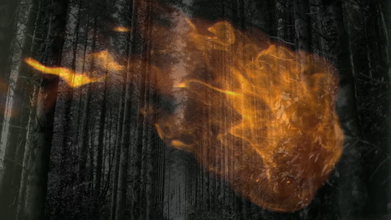animación de llamas de fuego sobre árboles en el bosque