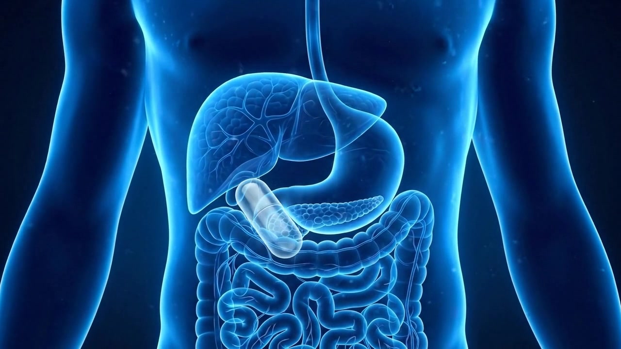 Visualizzazione medica dello stomaco umano con organo digestivo luminoso