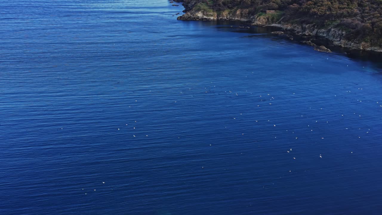 Calm waters and distant shorelines viewed from above on a sunny day