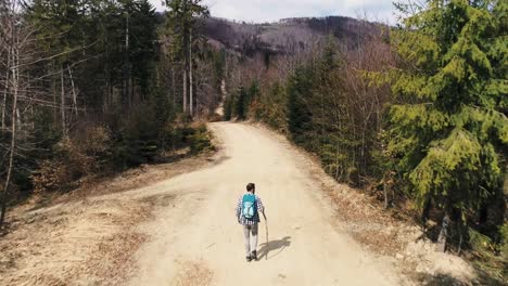 rear view of man with backpack hiking/bielsko biala/poland