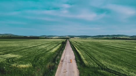 aerial view of a road cutting through vibrant green fields under a partly cloudy sky in tunisia.